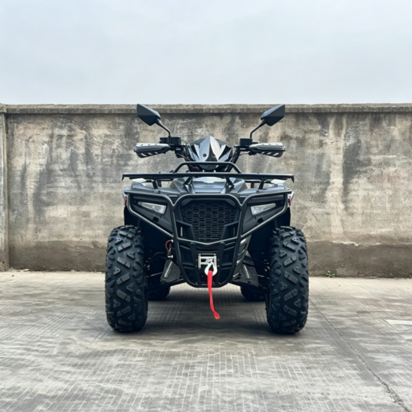 300CC-ATV-2 LS-ATV300 300cc ATV