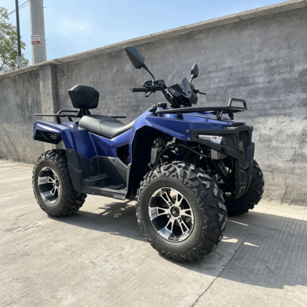 300CC-ATV-4 LS-ATV300 300cc ATV