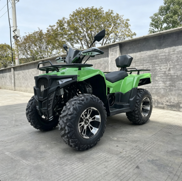 300CC-ATV-5 LS-ATV300 300cc ATV