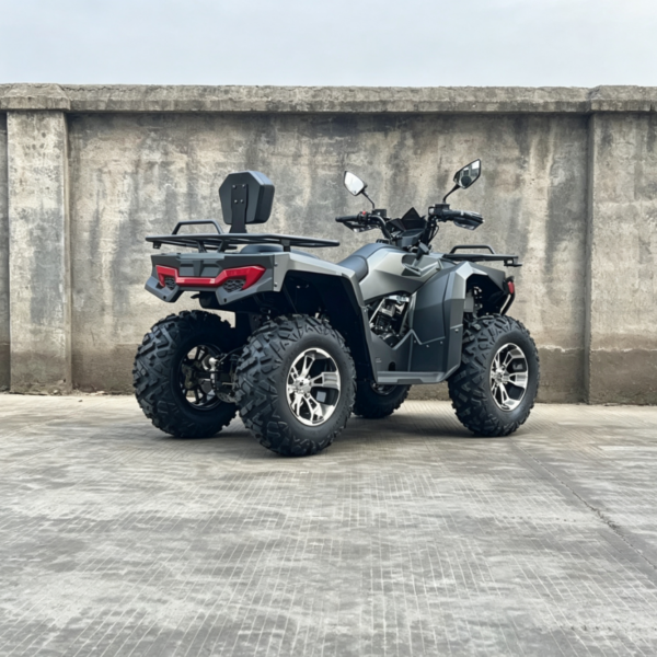 300CC-ATV-6 LS-ATV300 300cc ATV